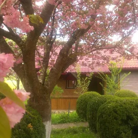 Alojamento de Turismo Selvagem Kvasnyi Kobyletskaya Polyana