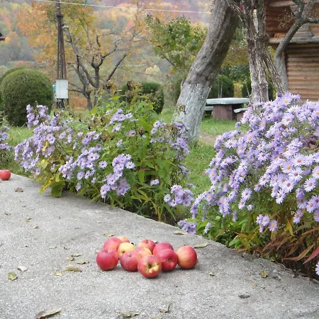 Kvasnyi Kobyletska Polyana