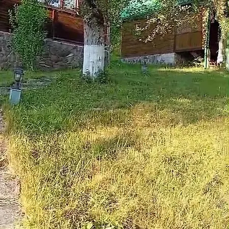 Kvasnyi