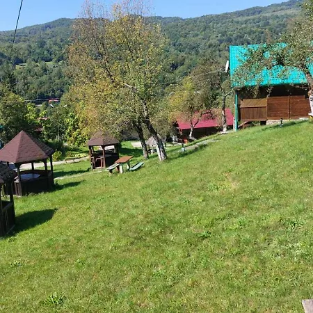 Orman Evi Kvasnyi *