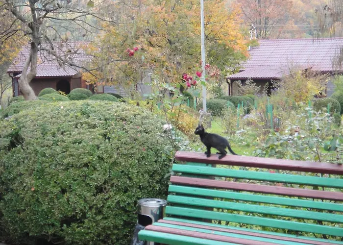 Kvasnyi