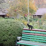 Kvasnyi