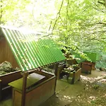 Kvasnyi