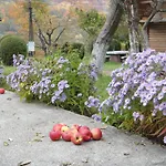 Kvasnyi Kobyletskaya Polyana