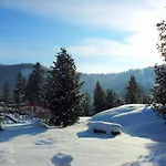 Kvasnyi *