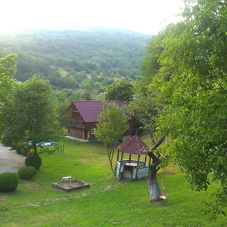 Kvasnyi بيت خشبي