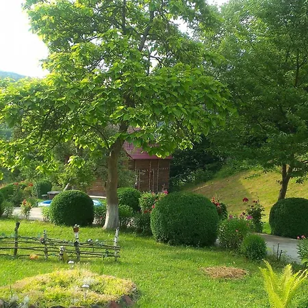 Kvasnyi